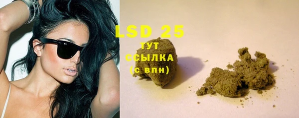 сатива Ладушкин