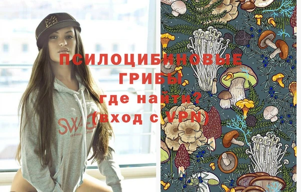 сатива Ладушкин