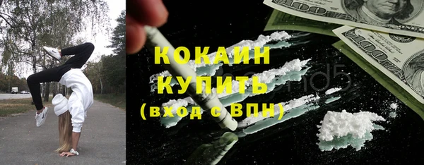 дживик Богородск