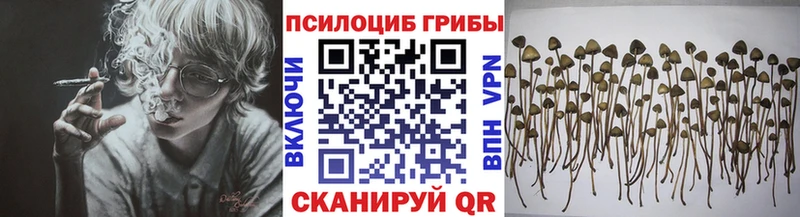 маркетплейс наркотические препараты  Чудово  Галлюциногенные грибы мицелий 
